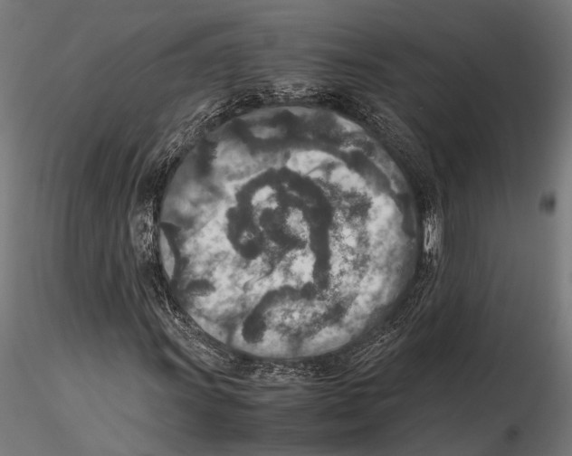 X0000115601011200912081108