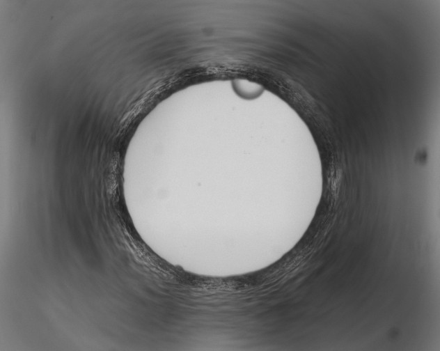 X0000115601012200912081108