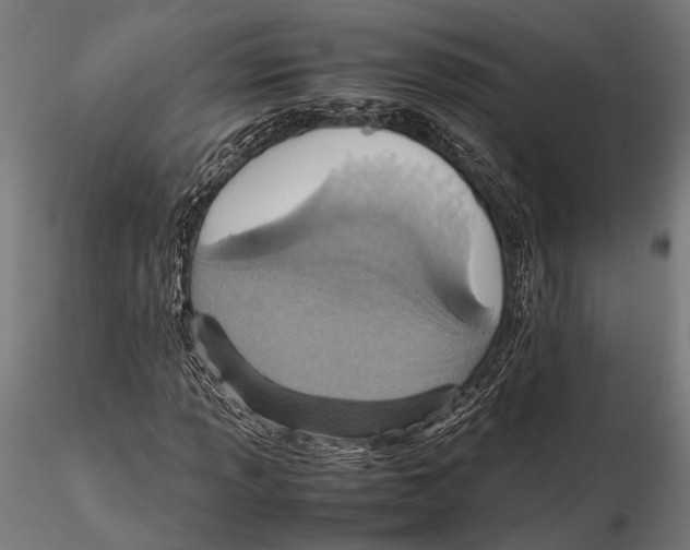 X0000115601013200912081108