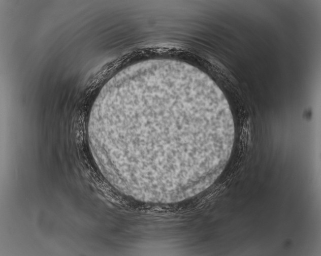 X0000115601014200912081108