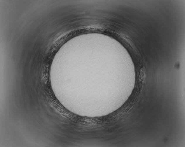 X0000115601015200912081108