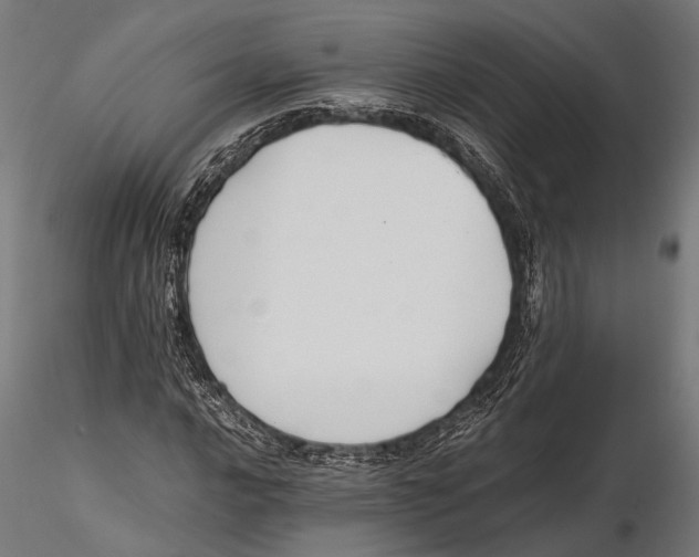 X0000115601016200912081108