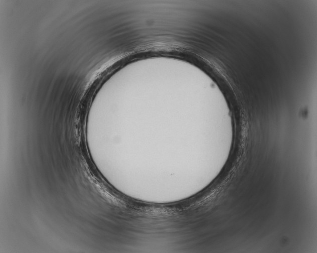 X0000115601018200912081108