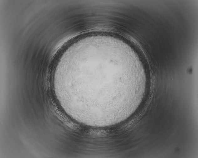 X0000115601019200912081108