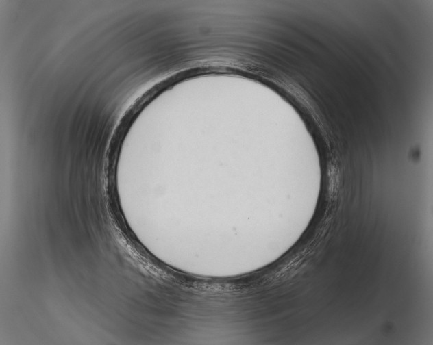 X0000115601020200912081108