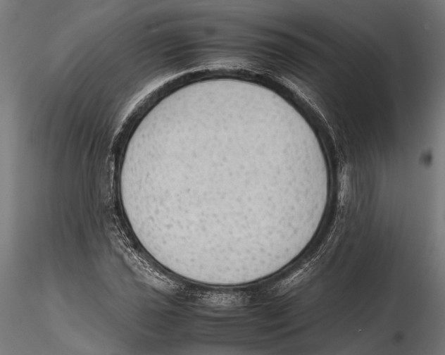 X0000115601021200912081108