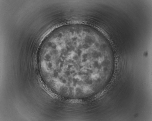 X0000115601023200912081108