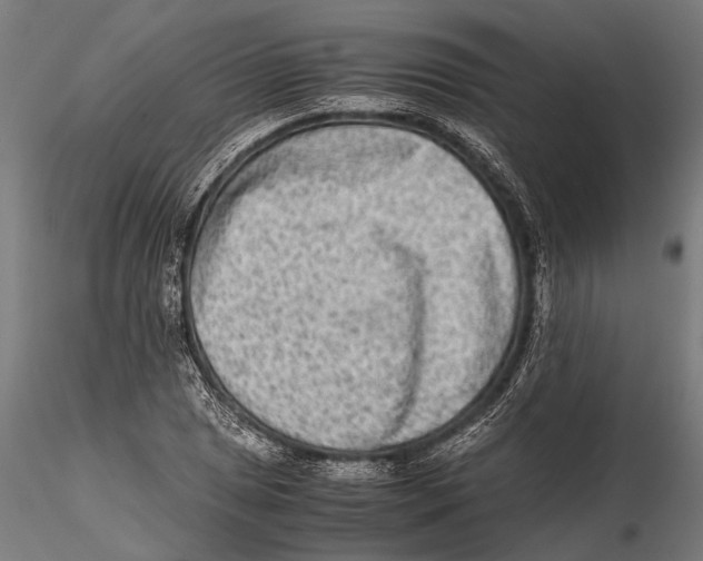 X0000115601025200912081108