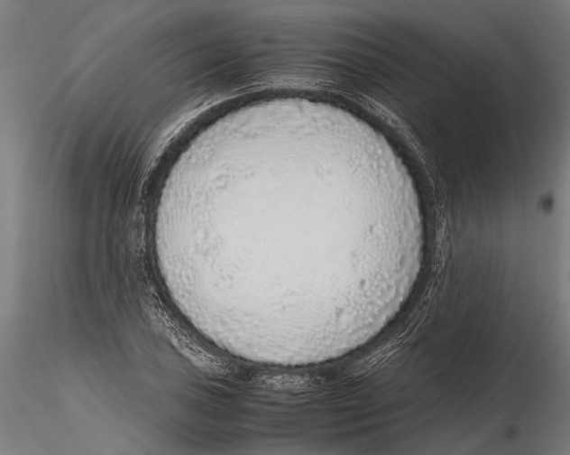 X0000115601027200912081108