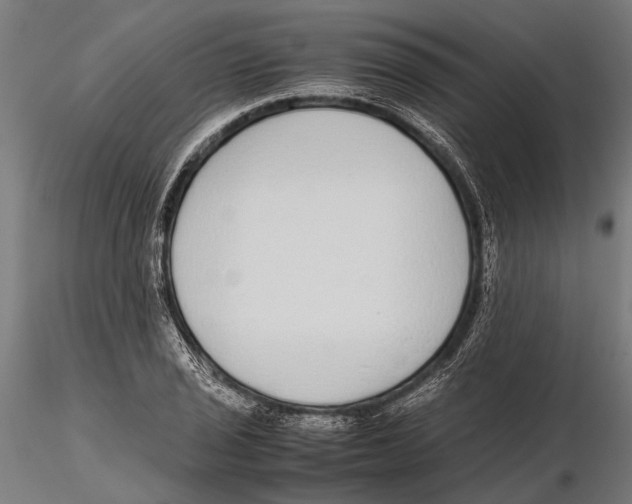 X0000115601029200912081108