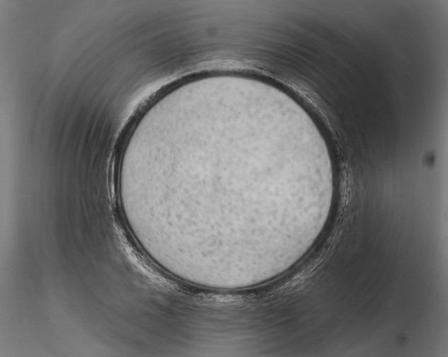 X0000115601030200912081108