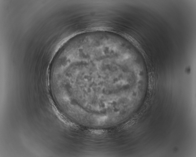 X0000115601031200912081108