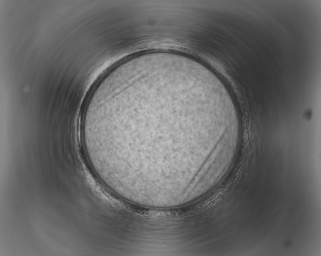 X0000115601032200912081109