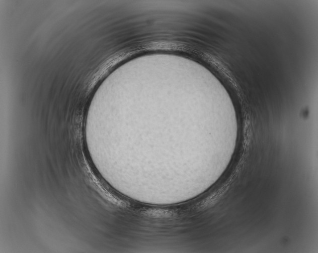 X0000115601033200912081109