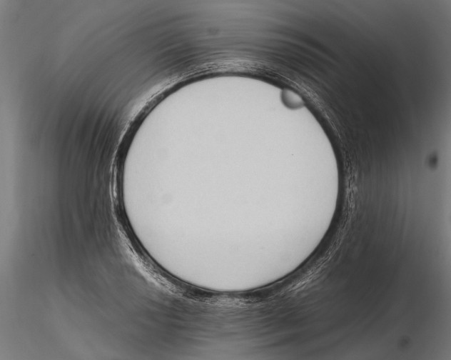 X0000115601034200912081109