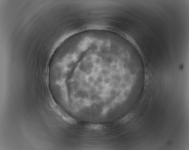 X0000115601035200912081109