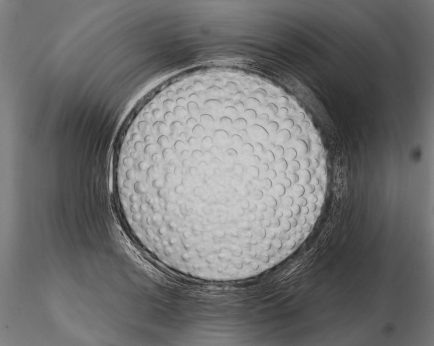 X0000115601036200912081109