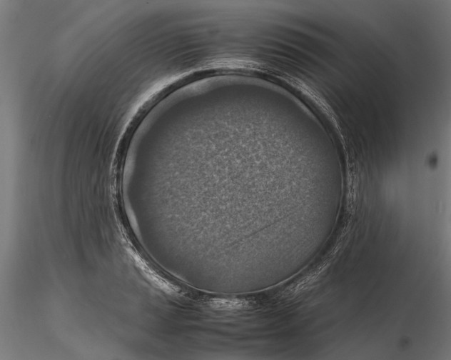 X0000115601037200912081109