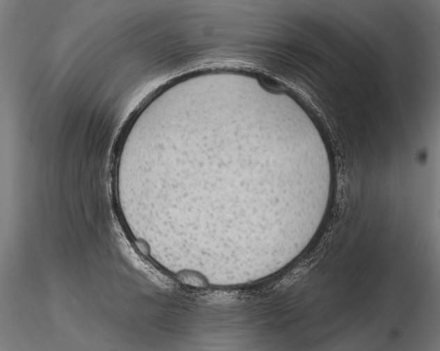 X0000115601038200912081109