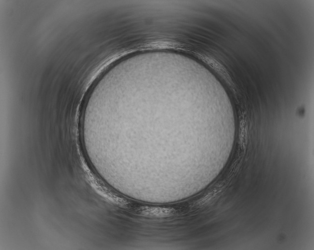 X0000115601039200912081109