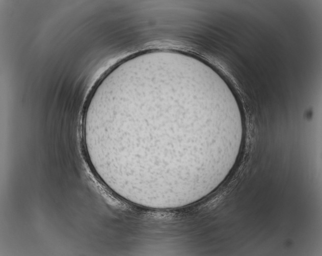 X0000115601040200912081109