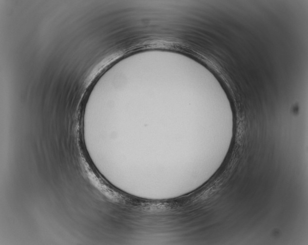 X0000115601042200912081109