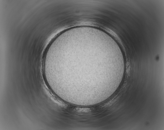 X0000115601043200912081109