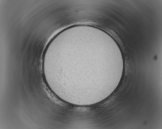 X0000115601044200912081109