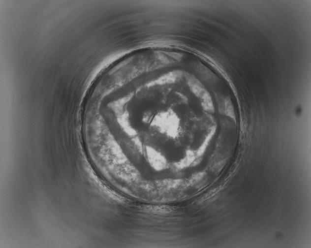 X0000115601045200912081109