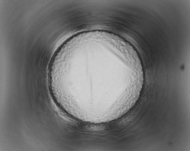 X0000115601047200912081109