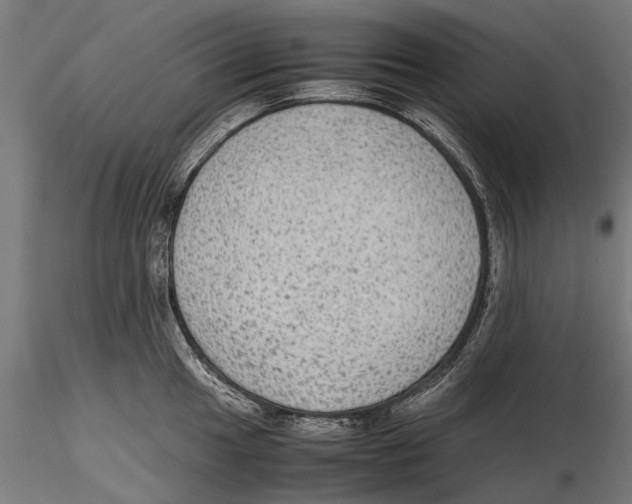 X0000115601049200912081109