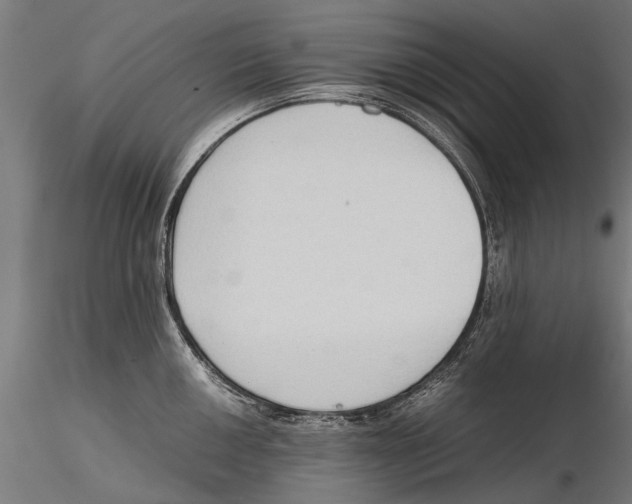 X0000115601050200912081109