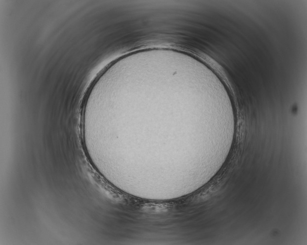 X0000115601051200912081109