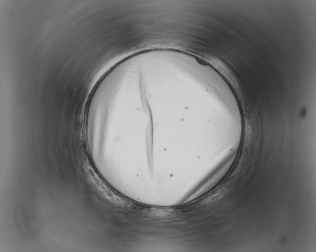 X0000115601052200912081109