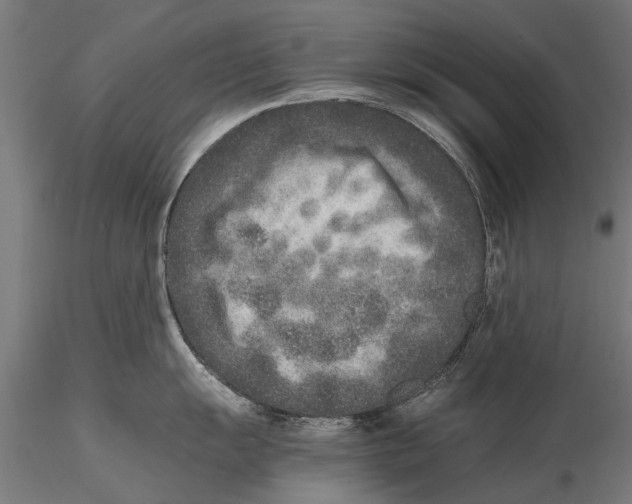 X0000115601055200912081109