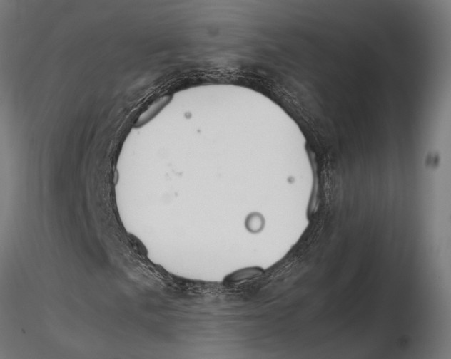 X0000115601057200912081108