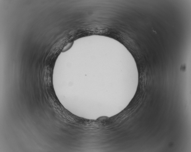 X0000115601058200912081108