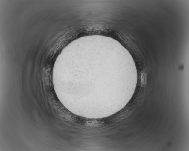 X0000115601059200912081108