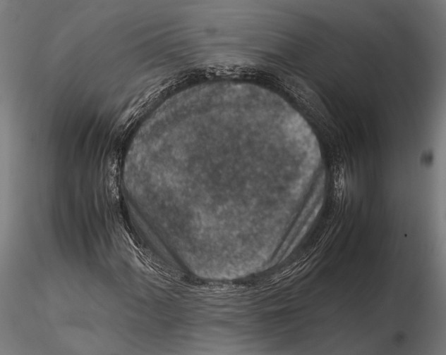 X0000115601060200912081108