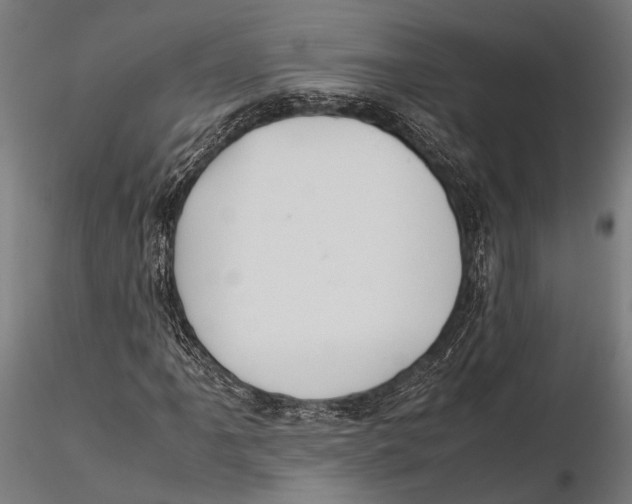 X0000115601061200912081108