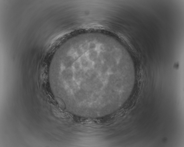 X0000115601063200912081108