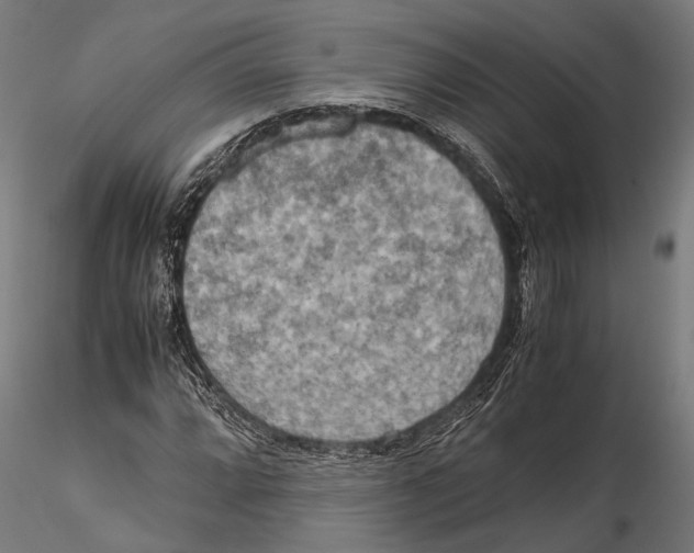 X0000115601064200912081108