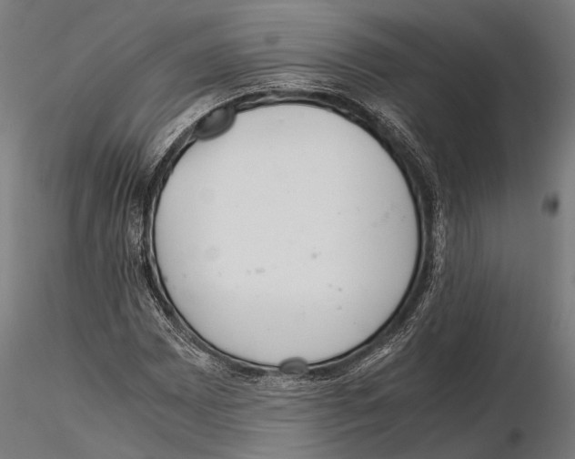 X0000115601065200912081108