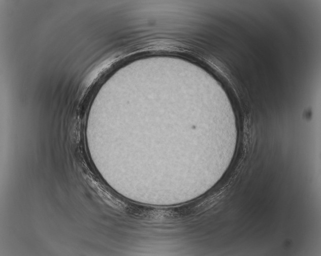 X0000115601067200912081108