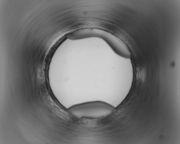 X0000115601068200912081108