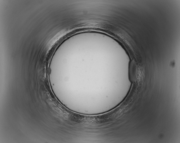 X0000115601069200912081108