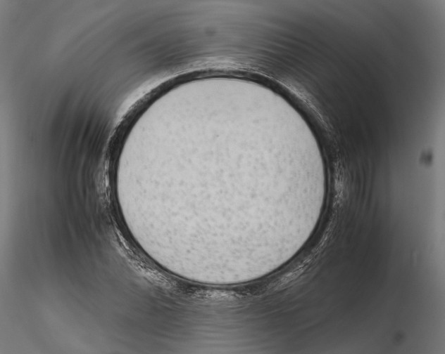 X0000115601070200912081108