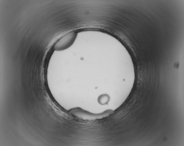 X0000115601072200912081108