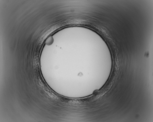 X0000115601073200912081108