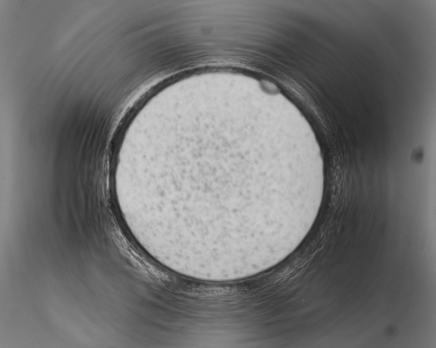 X0000115601076200912081108